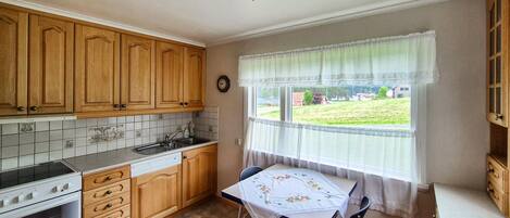Fridge, oven, stovetop, dishwasher