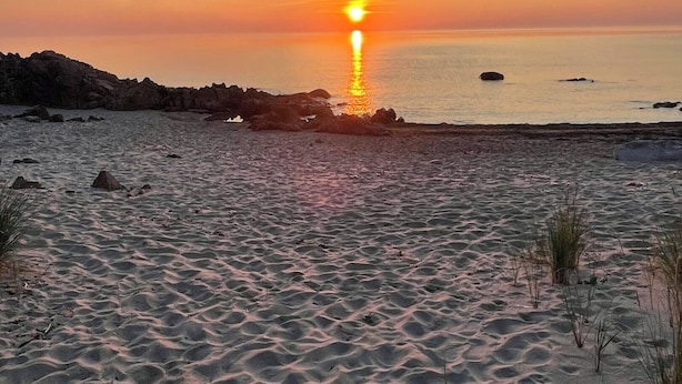Una playa con un atardecer, arena y vegetación escasa.
