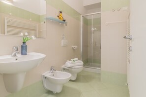 Shower, hair dryer, bidet, towels