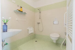 Shower, hair dryer, bidet, towels