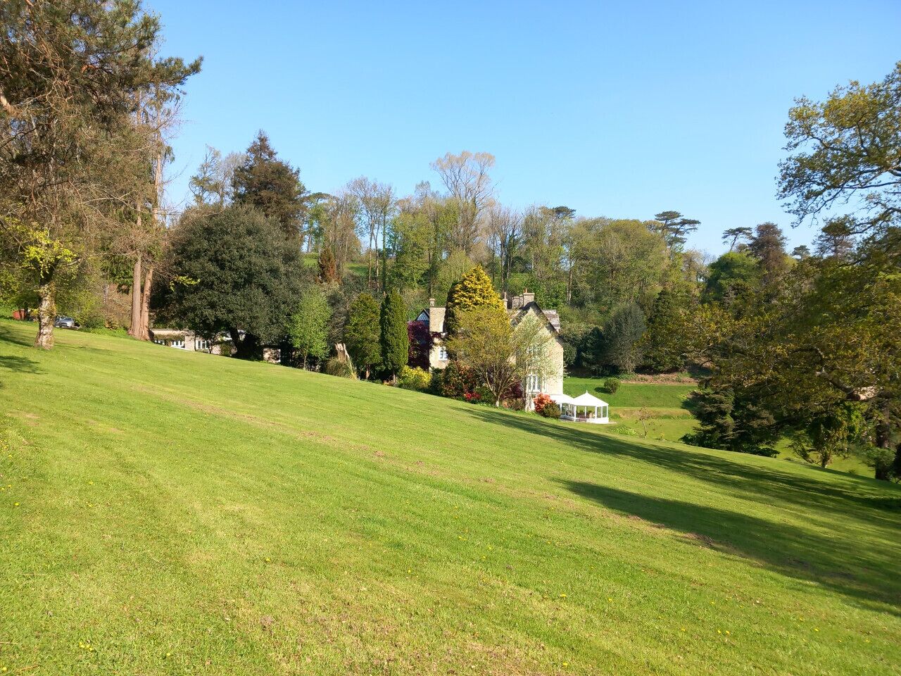 A grassy field with a white building and trees in the background.