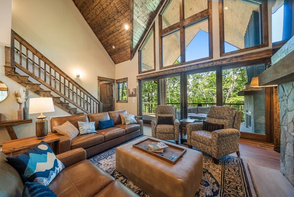 Smart TV, fireplace, books