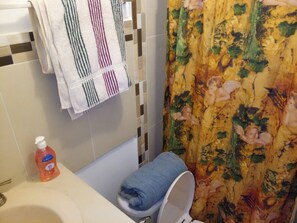 Hair dryer, towels, soap, toilet paper