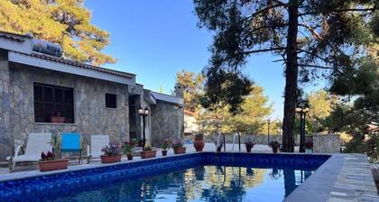 Villa Penelope Platres