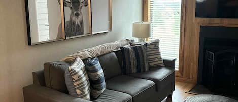 TV, fireplace