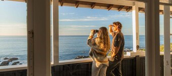 Hidden Gem | Whales & Dolphins | Epic Location - KK71342
