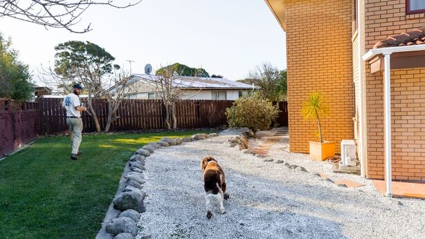 A residential area with a gravel driveway, a brick house, a fenced yard, and a person walking a dog. - Coastal | Spacious | Mountain Views - KK21238 (Kaikoura)