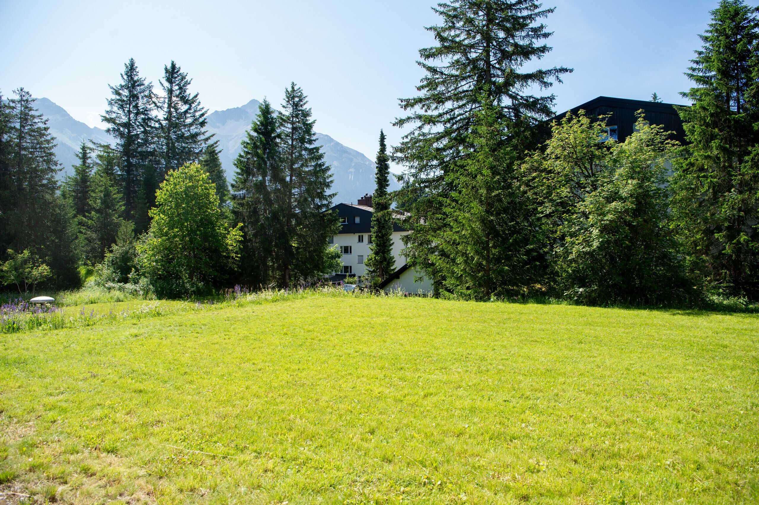 Ein grünes Feld mit einem Gebäude, umgeben von Bäumen und Bergen im Hintergrund.