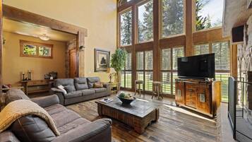 TV connectée, cheminée, lecteur de DVD, livres