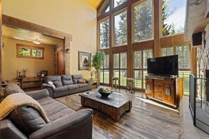 Smart TV, fireplace, DVD player, books