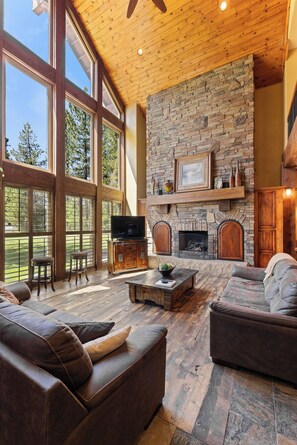 Smart TV, chimenea, reproductor de DVD y libros 