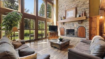 TV connectée, cheminée, lecteur de DVD, livres