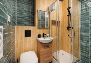 Shower, hair dryer, towels