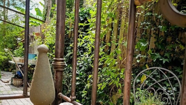 Un espace jardin agrémenté d’une cl ôture en bois, d’une sculpture de chouette en pierre et d’une plante en pot.