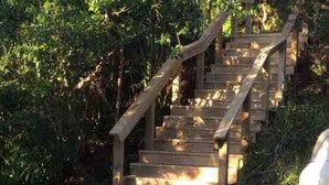 Un escalier en bois entouré d’un feuillage dense.