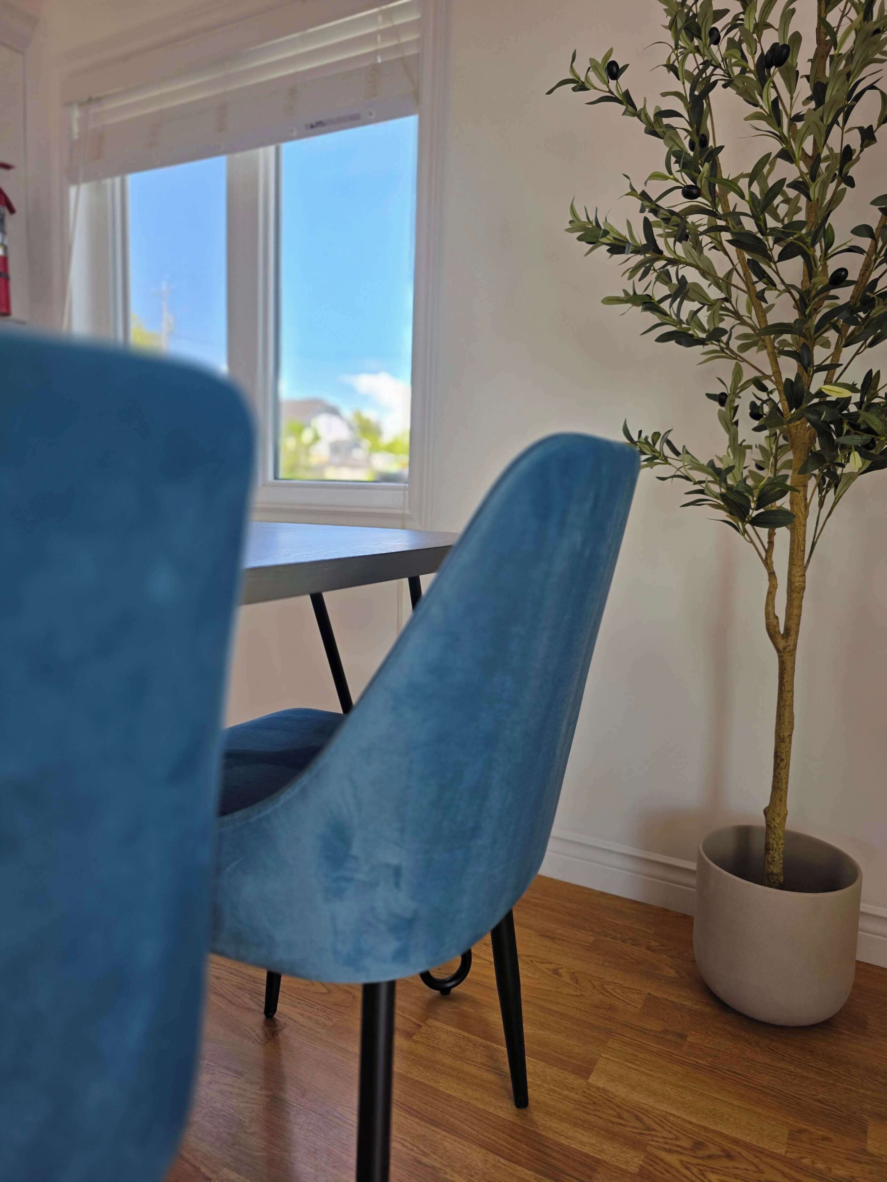 Une pièce avec un plancher en bois, une chaise bleue, une table, une plante en pot et une fenêtre donnant sur le ciel.