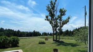 Vista da un balcone su una zona erbosa con alberi e cielo sereno.
