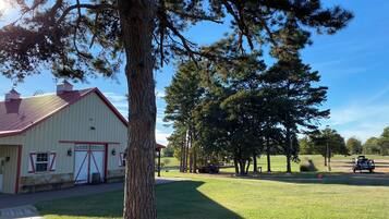 Área da propriedade