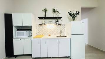 Fridge, microwave, stovetop, coffee/tea maker