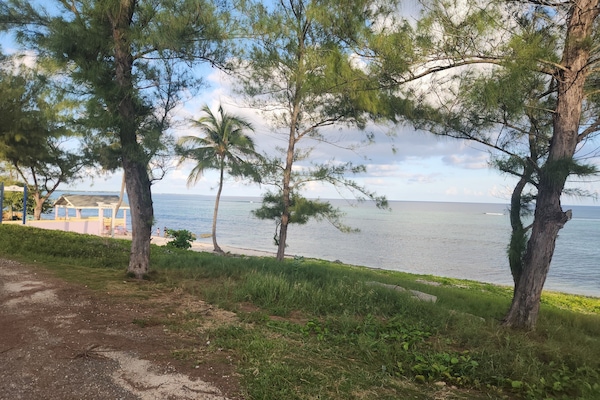 Chaises longues, serviettes de plage
