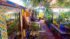 A cozy indoor garden with potted plants, a hammock, and a patterned wall. - Authentic Riad in Marrakech - A Living Museum of Moroccan Art (Marrakech)