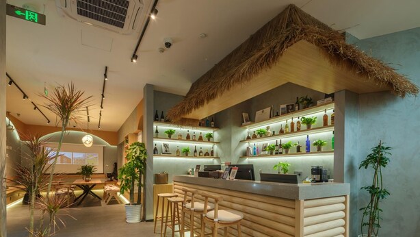 A bar area with wooden stools, shelves with bottles, and potted plants.