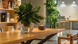 A modern interior with a wooden dining table, bookshelves, and potted plants.