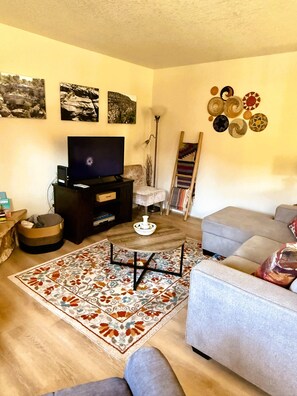 Smart TV, fireplace, books