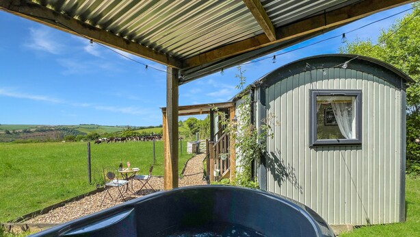 A hot tub under a metal roof, a small shed, and a grassy field with cows in the background. - Daisy Shepherd's Hut, North Molton (North Molton)