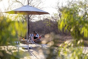 Property grounds - Large open plan suite with private pool (Hoedspruit)