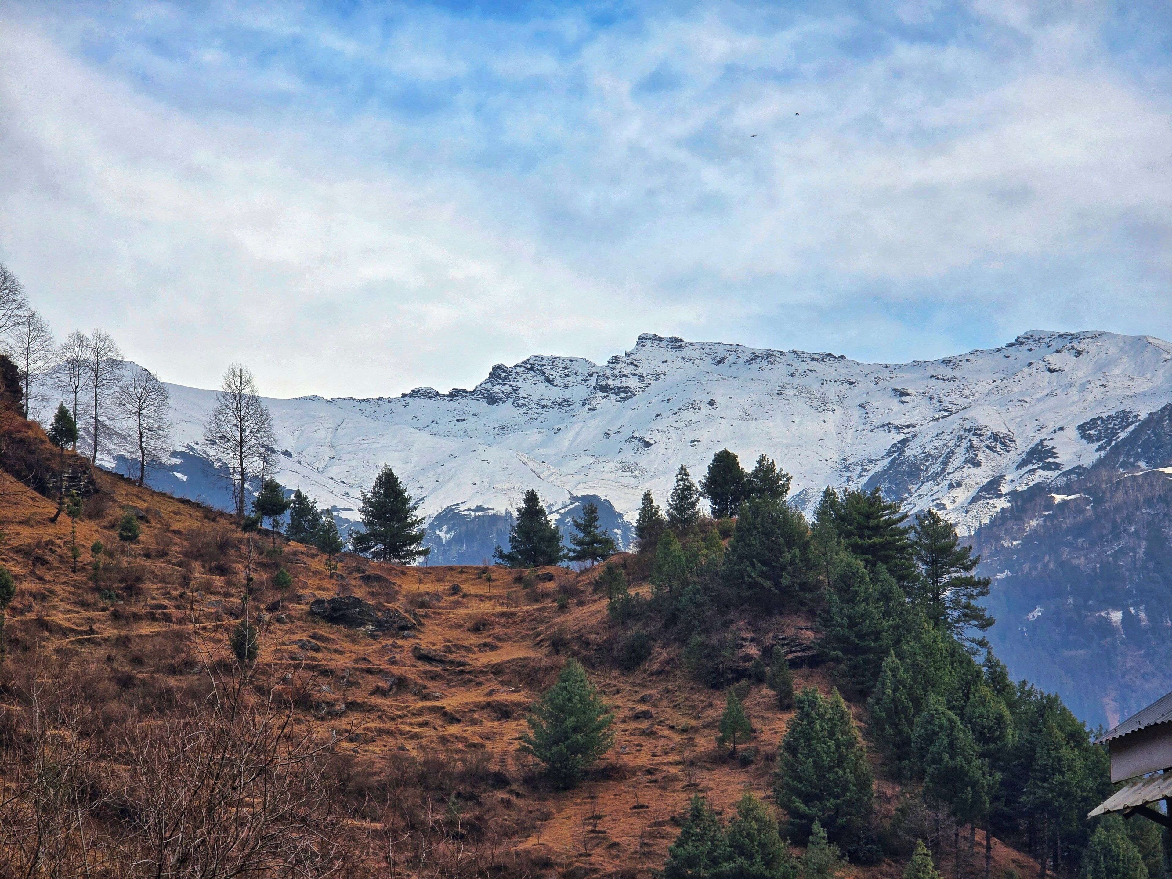 A mountainous landscape with snow-covered peaks, sparse trees, and a clear sky.
