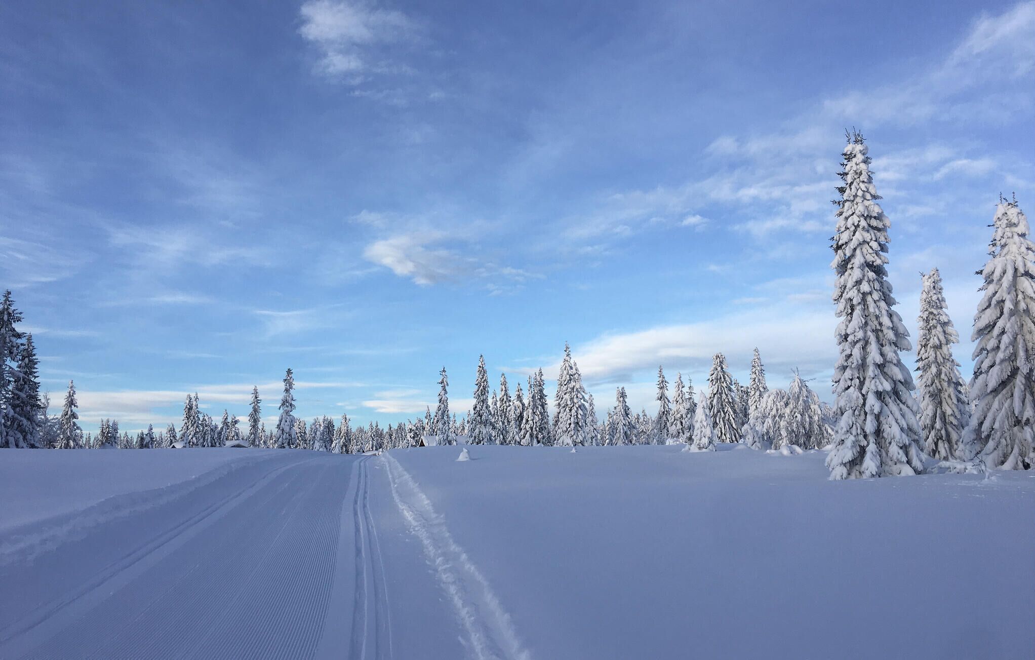 Paisagem nevada com céu claro e uma estrada que serpenteia por uma floresta de árvores cobertas de neve.
