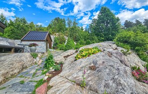 المنطقة المحيطة بالمنشأة