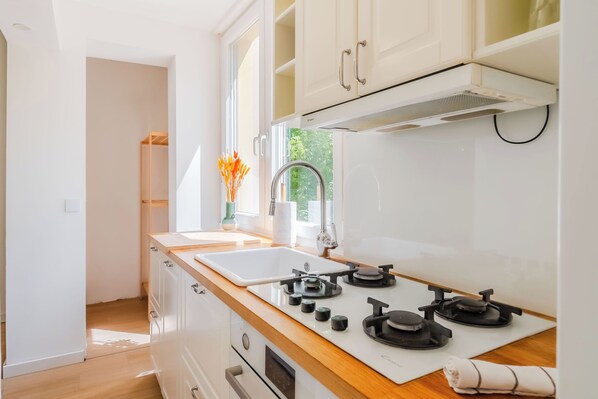 Fridge, oven, stovetop, dishwasher