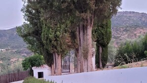 Property grounds - The Oasis of Periana (Periana)