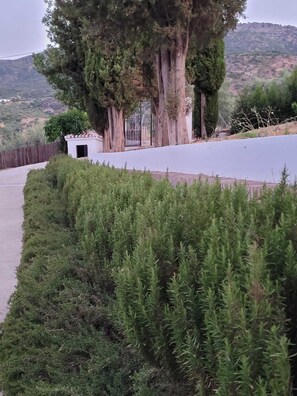 Áreas de la propiedad