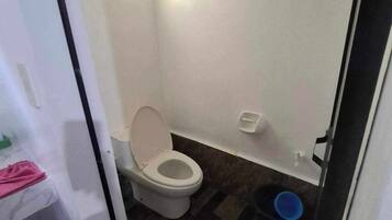 Douche, bidet, serviettes fournies, papier toilette