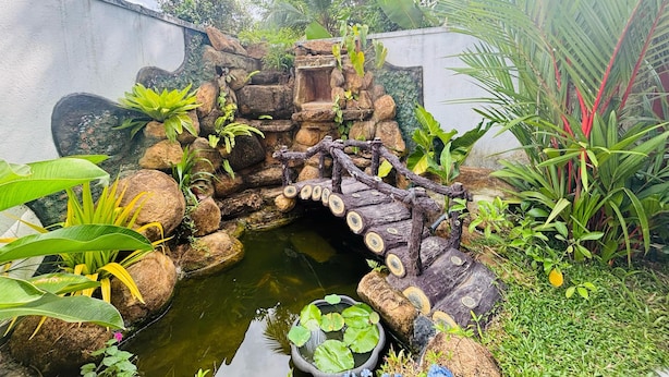 A small pond with a wooden bridge, surrounded by rocks and various plants. - Green Path  (Gampaha)