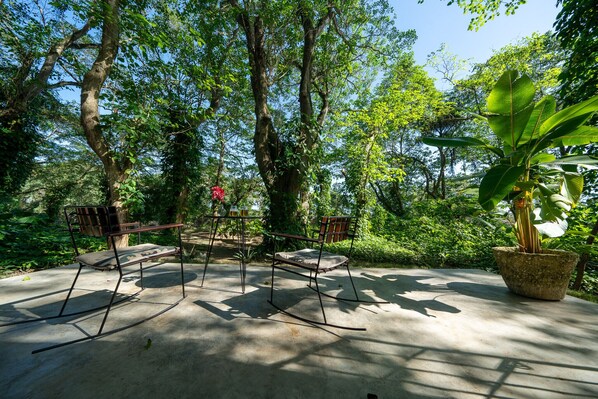 Un patio de concreto con dos mecedoras y una planta en maceta.