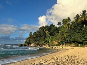 A beach with clear blue water, sandy shore, and palm trees. - REFUGIO Sabaneta de Yásica (Sosua)