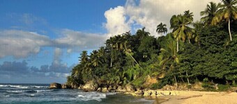 เรฟูจิโอ ซาบาเนตา เด ยาซิกา