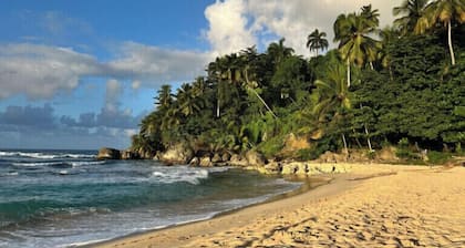 REFUGIO Sabaneta de YĂĄsica