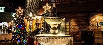 Wears Valley Dream! Escape to this cottage!