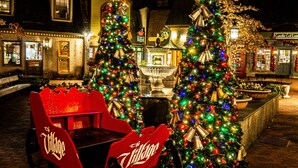 A festive outdoor setting with two decorated Christmas trees, a red sleigh, and a stone fountain.