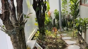 Un jardín con diversas plantas, un árbol y un camino.