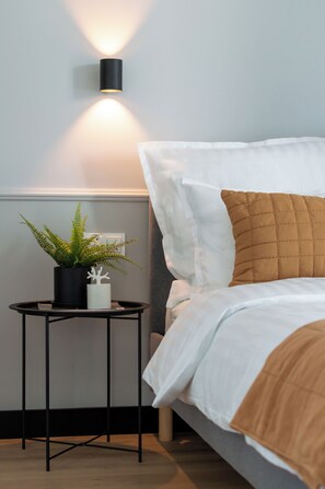 1 slaapkamer, een strijkplank/strijkijzer, wifi, beddengoed