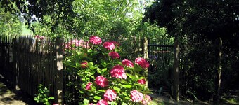Vacation apartment Krautenberg up to 5 persons, 55 sqm
