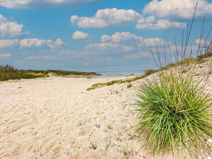 A sandy beach with sparse vegetation and a clear sky.
