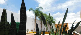 Casa de Campo Los Laureles (Nature and Tranquility in the Tequilense countryside)