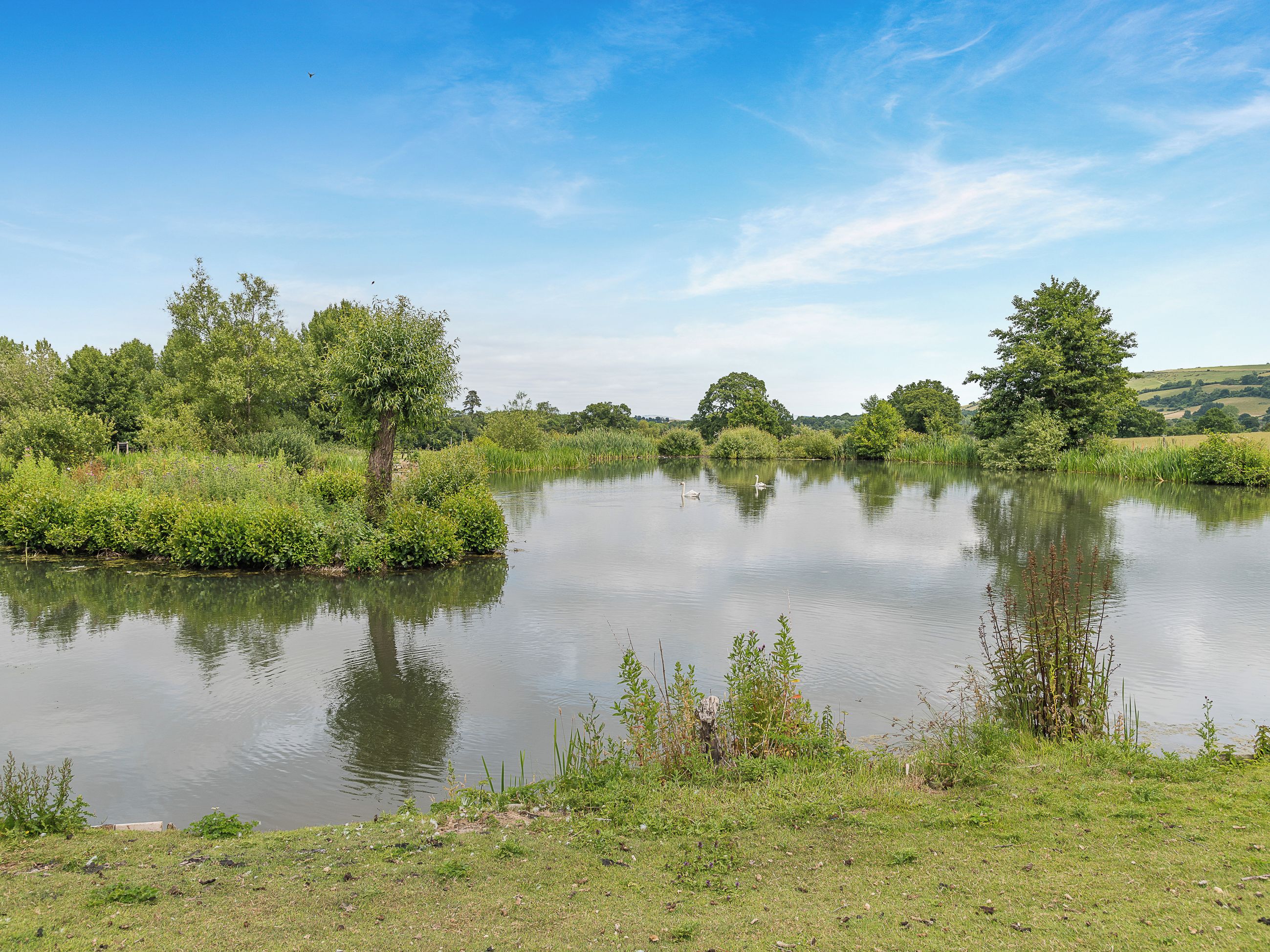 Un lago tranquilo rodeado de abundante vegetación y árboles.